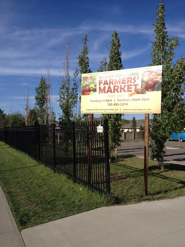 13220883_824583334314140_592998455006781493_n