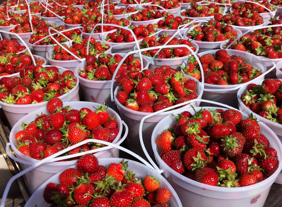 10565172_595486667216948_3666197011637939217_n