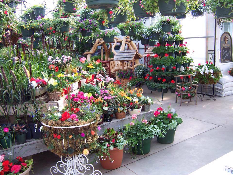 11178259_1398798633778310_8334200235084257092_n