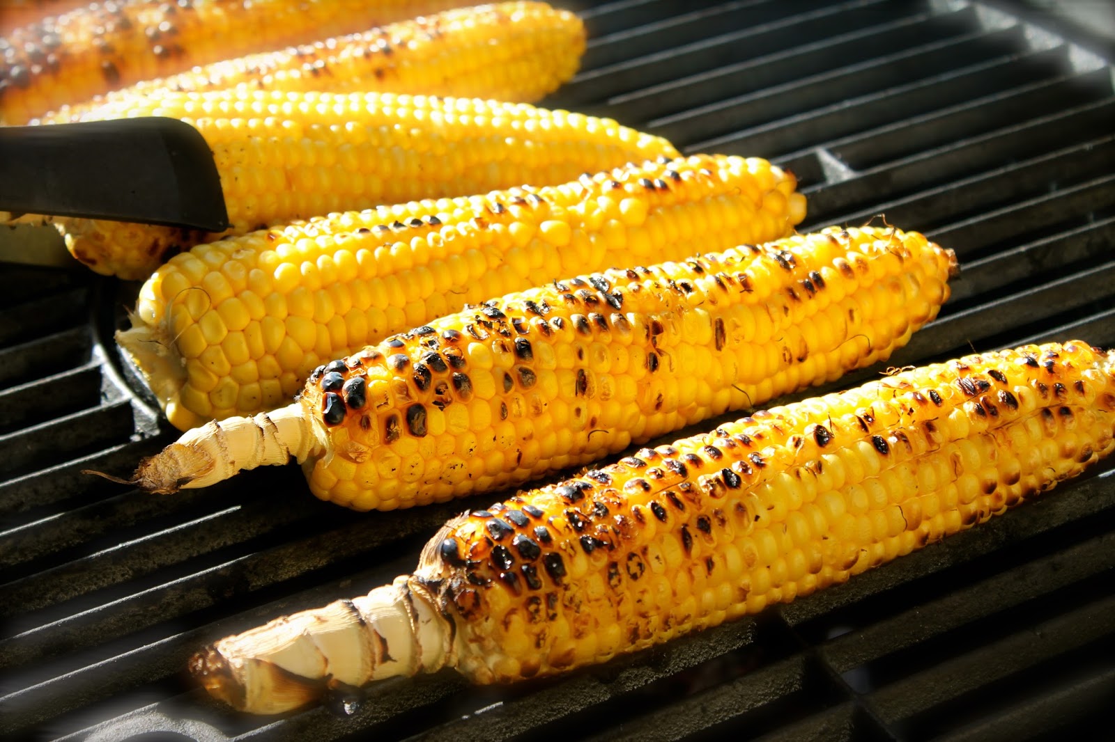 roasted corn